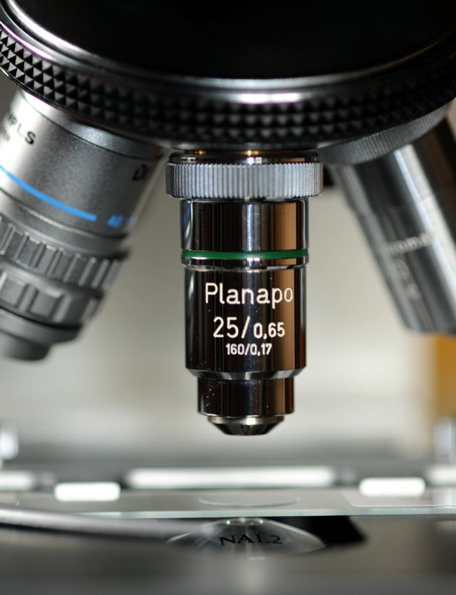 Zeiss planapo 25x + flash